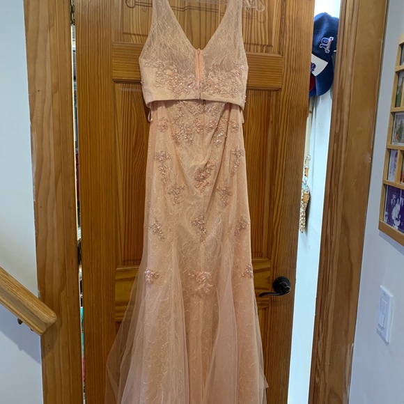 Prom Dress - Picture 3 of 10